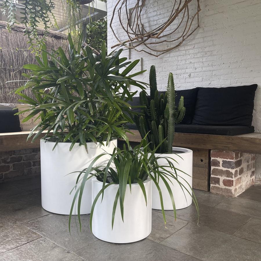 The Bilgola Planter