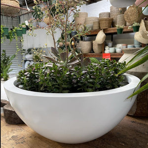 The Bungan Bowl planter