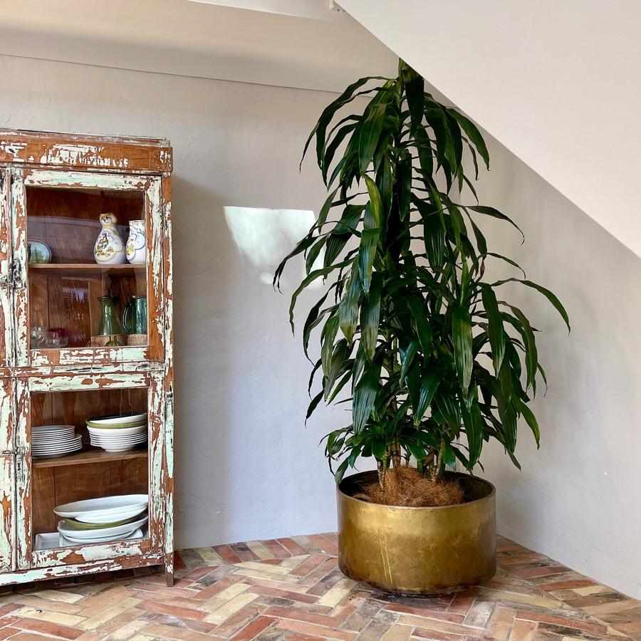 Indian Brass floating planter