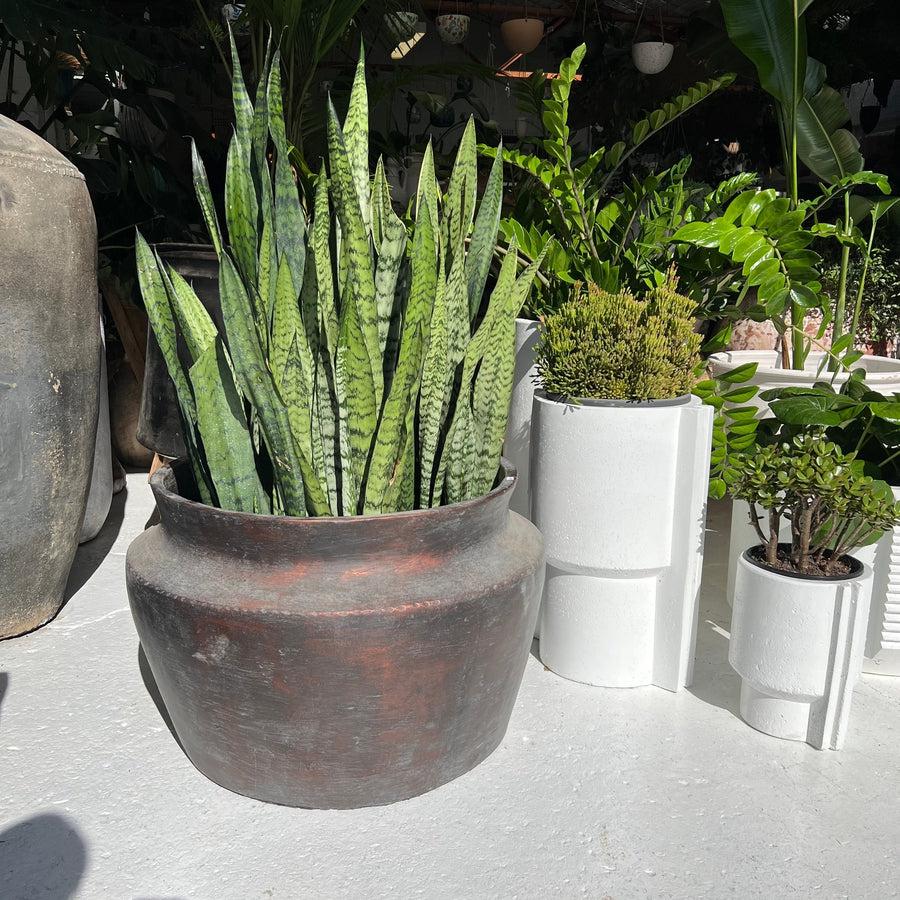 "Copper like Finish" Tub Planter