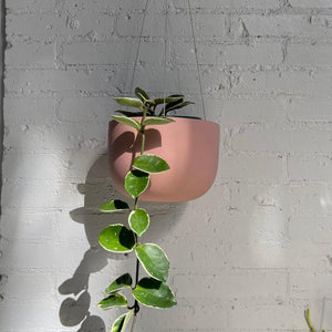 Ceramic hanging planter
