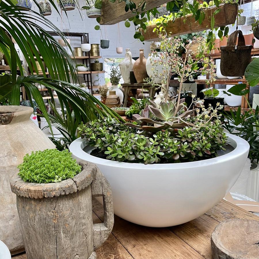 The Bungan Bowl Planter