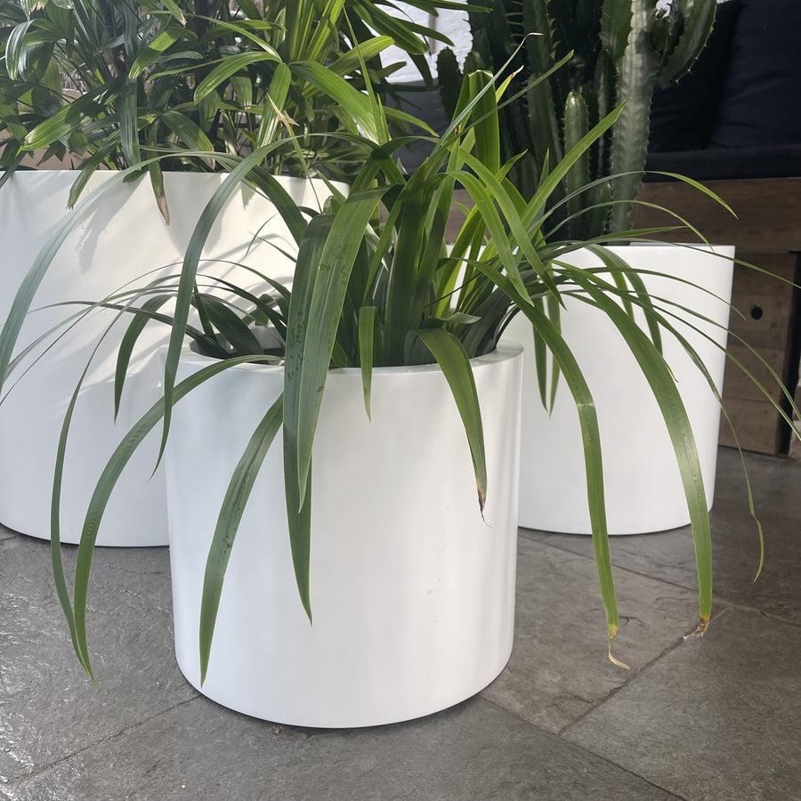 The Bilgola Planter